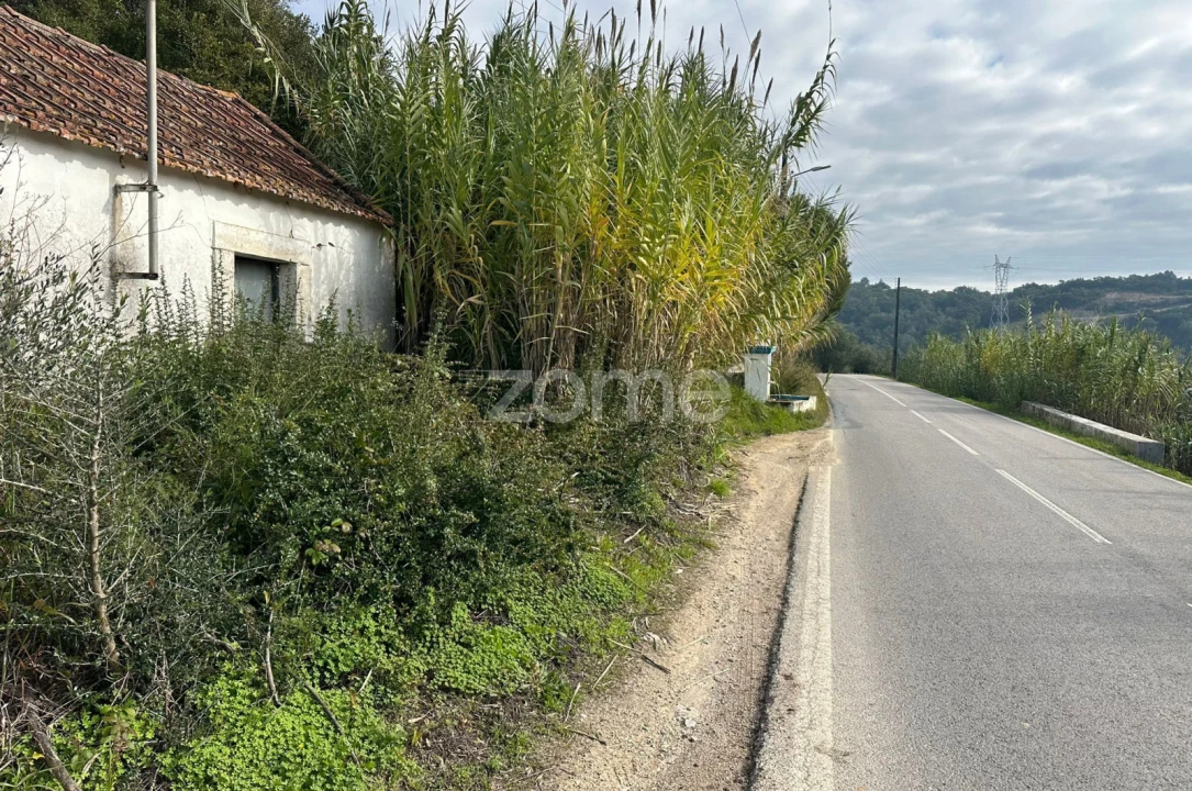 Quinta T1 para Venda em Almoster Foto 4