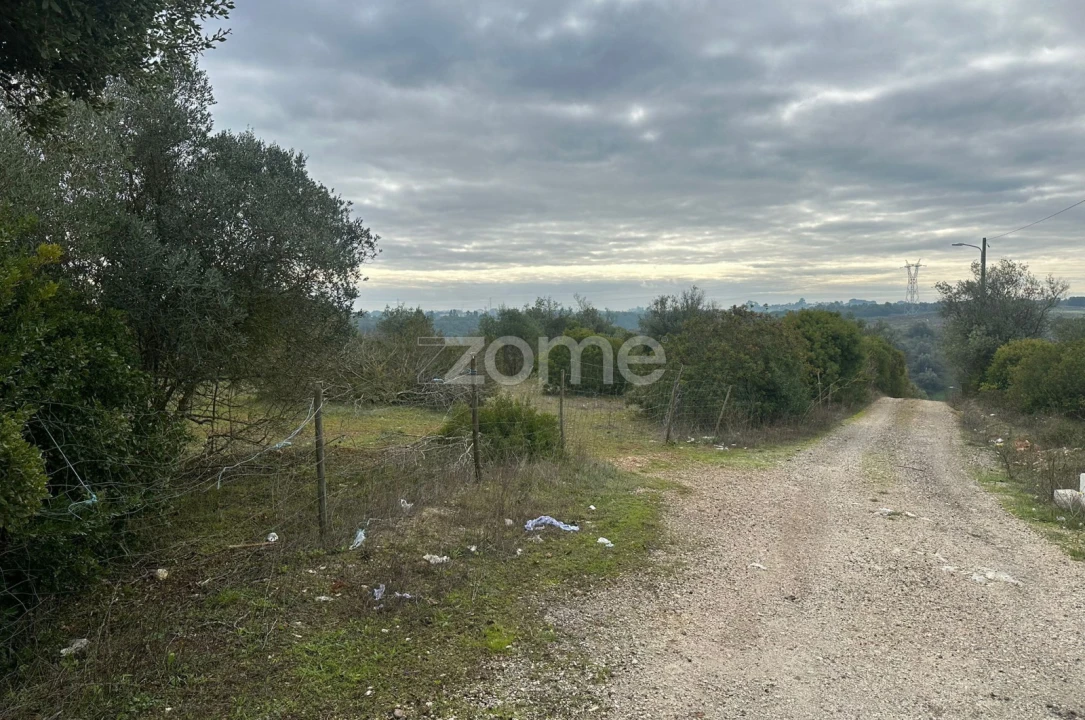 Quinta T1 para Venda em Almoster Foto 29