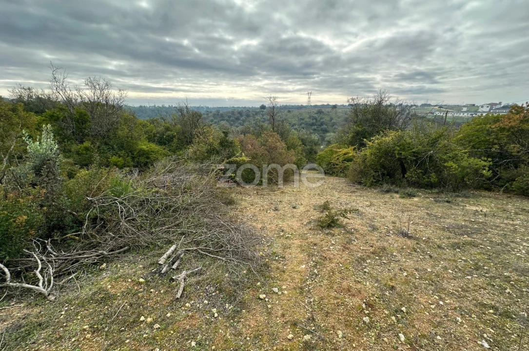 Quinta T1 para Venda em Almoster Foto 17