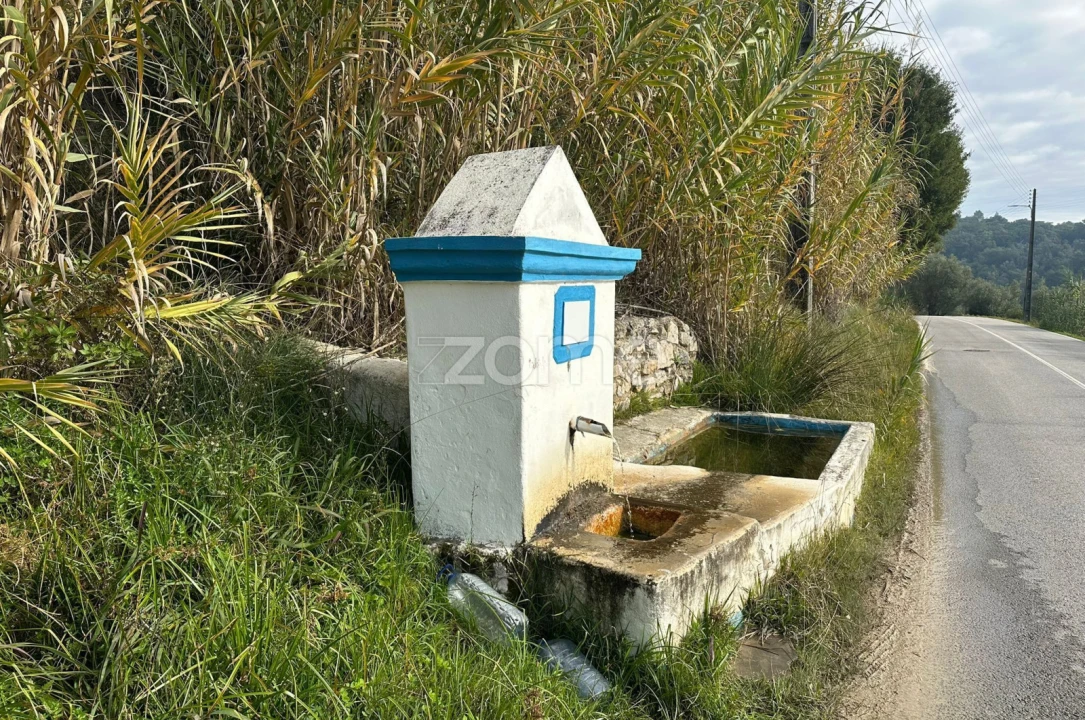 Quinta T1 para Venda em Almoster Foto 8