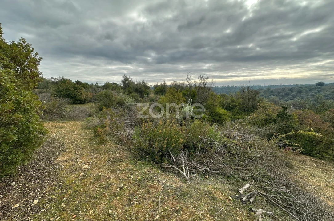 Quinta T1 para Venda em Almoster Foto 25