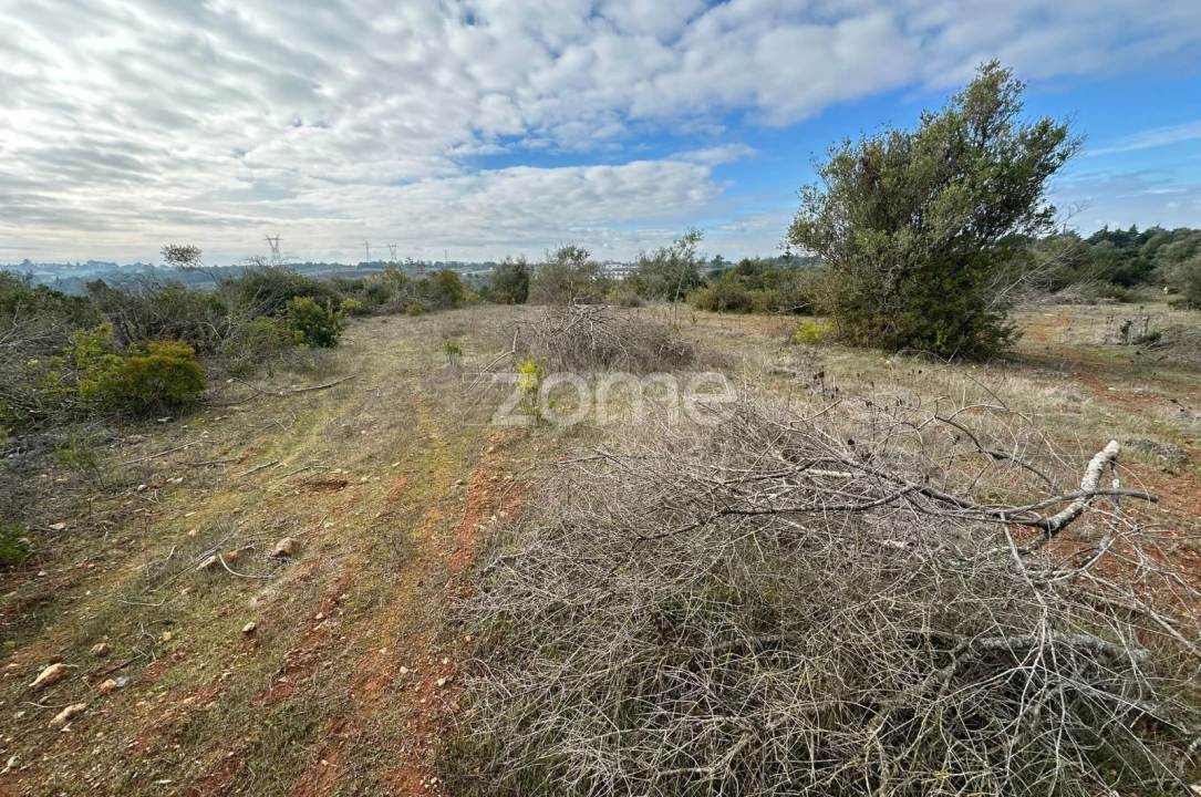 Quinta T1 para Venda em Almoster Foto 15