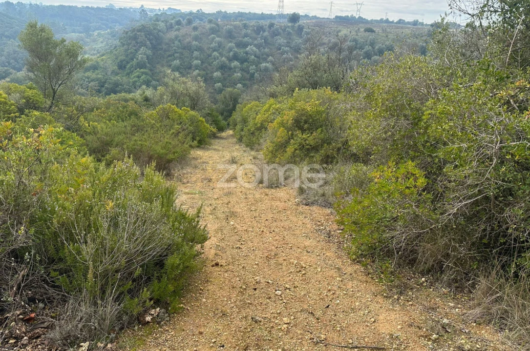 Quinta T1 para Venda em Almoster Foto 16