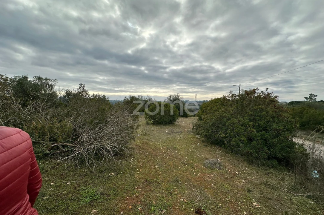 Quinta T1 para Venda em Almoster Foto 19