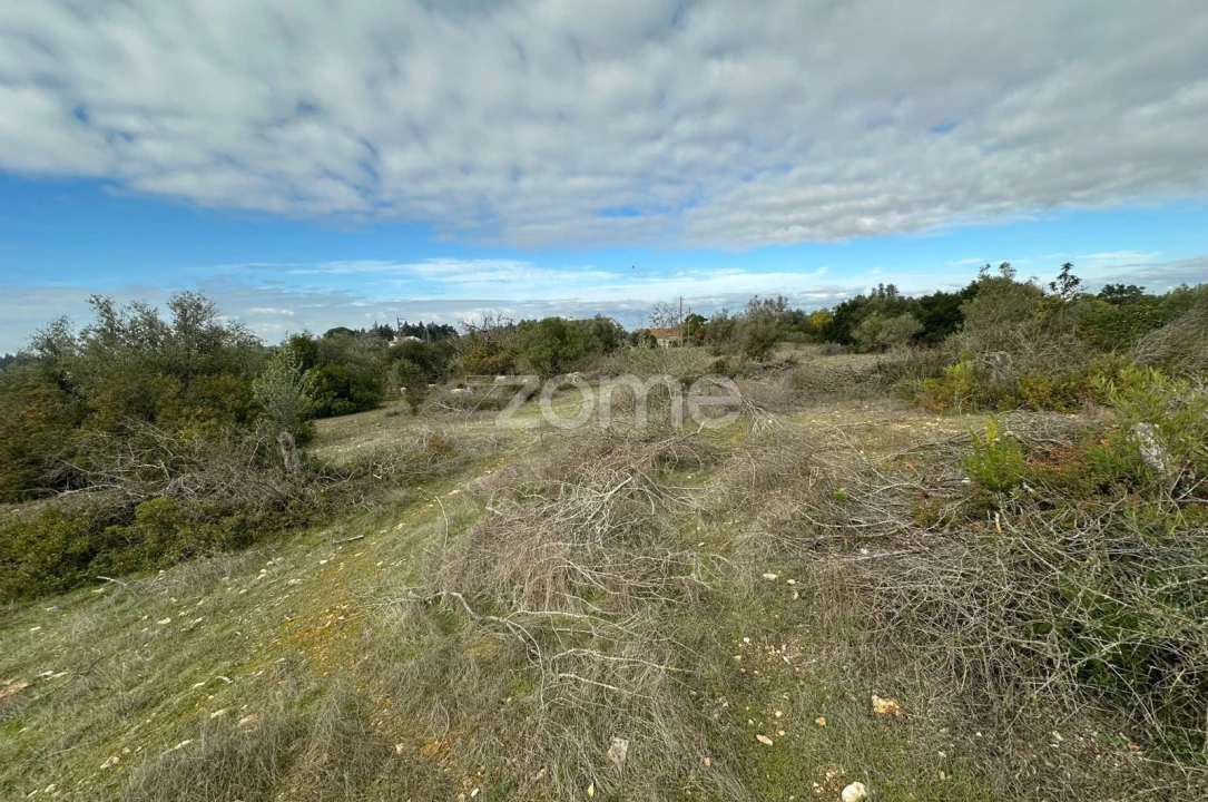 Quinta T1 para Venda em Almoster Foto 24