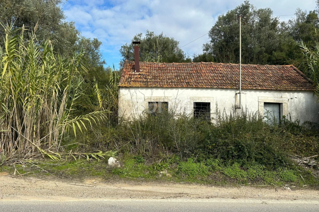 Quinta T1 para Venda em Almoster Foto 2