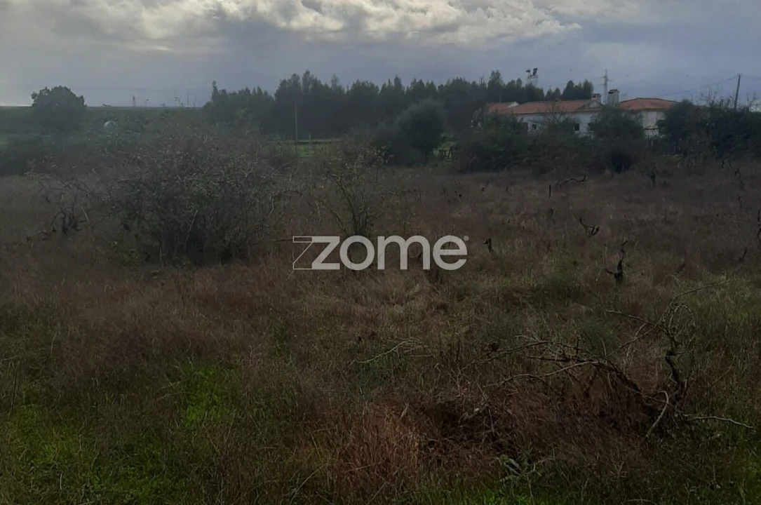 Terreno para Venda em Poceirão e Marateca Foto 4