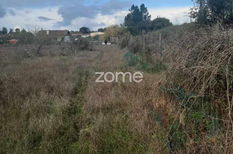 Terreno para Venda em Poceirão e Marateca Foto 7