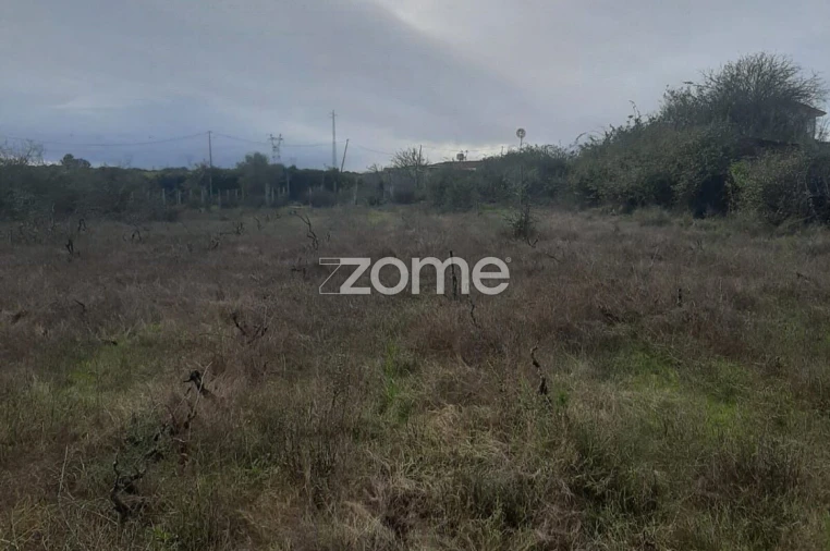 Terreno para Venda em Poceirão e Marateca Foto 5