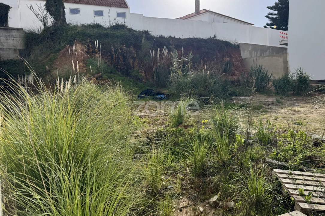 Terreno para Venda em Ericeira Foto 2