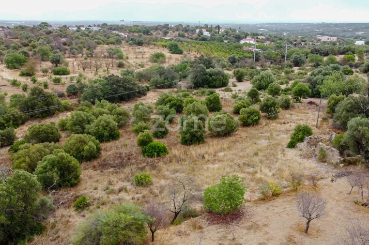 Terreno para Venda em Moncarapacho e Fuseta Foto 12
