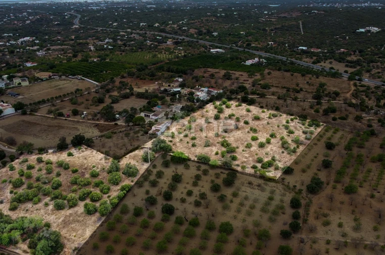 Terreno para Venda em Moncarapacho e Fuseta Foto 2