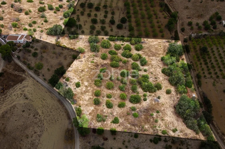 Terreno para Venda em Moncarapacho e Fuseta Foto 5