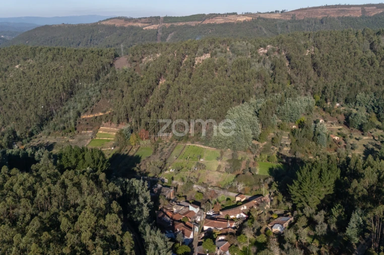 Moradia T2 para Venda em Penacova Foto 25