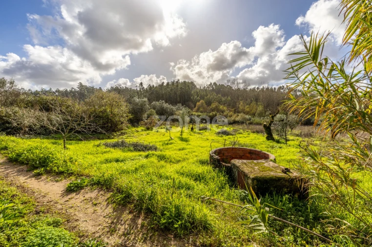 Terreno para Venda em Pelariga Foto 28