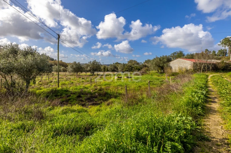 Terreno para Venda em Pelariga Foto 12