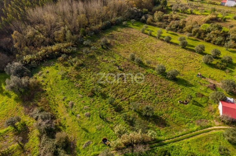Terreno para Venda em Pelariga Foto 13