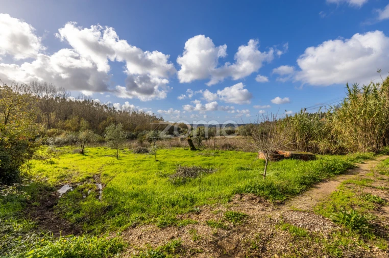 Terreno para Venda em Pelariga Foto 32