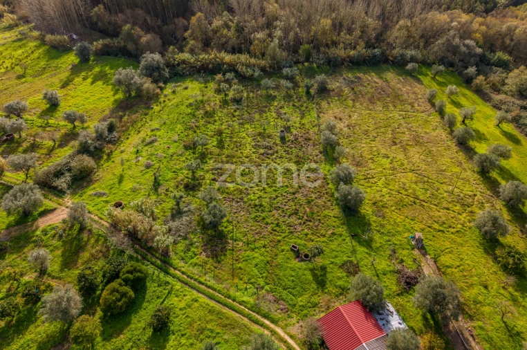 Terreno para Venda em Pelariga Foto 8