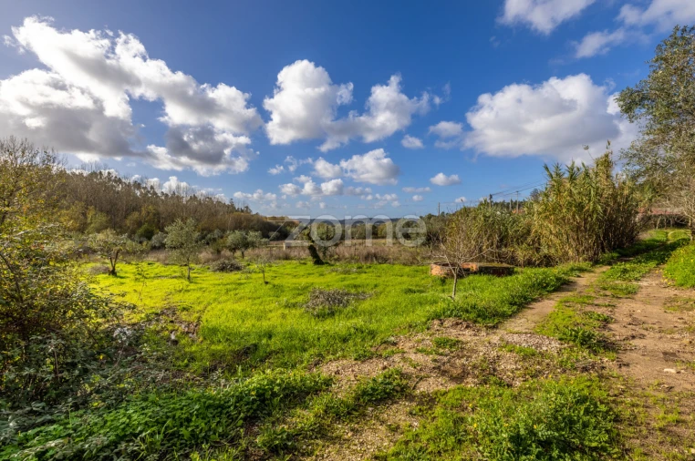 Terreno para Venda em Pelariga Foto 34