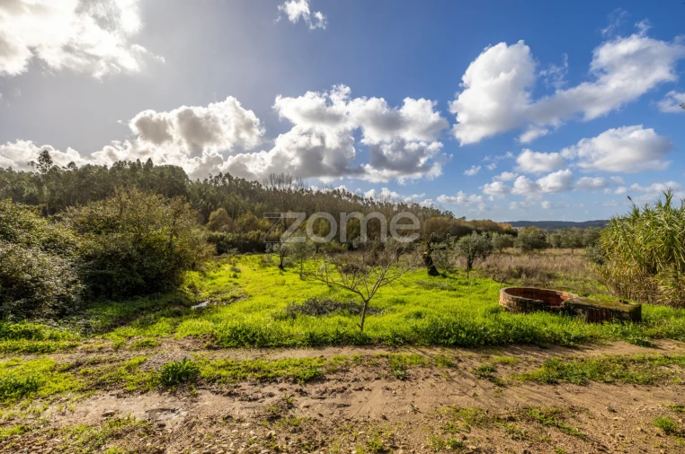 Terreno para Venda em Pelariga Foto 20