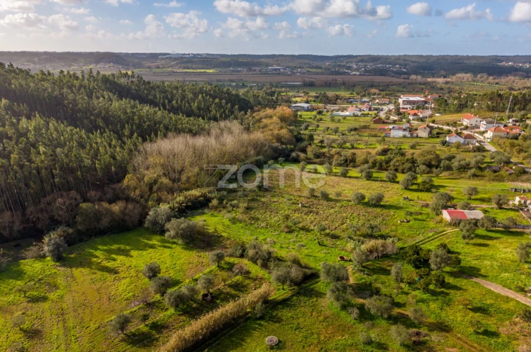 Terreno para Venda em Pelariga Foto 27