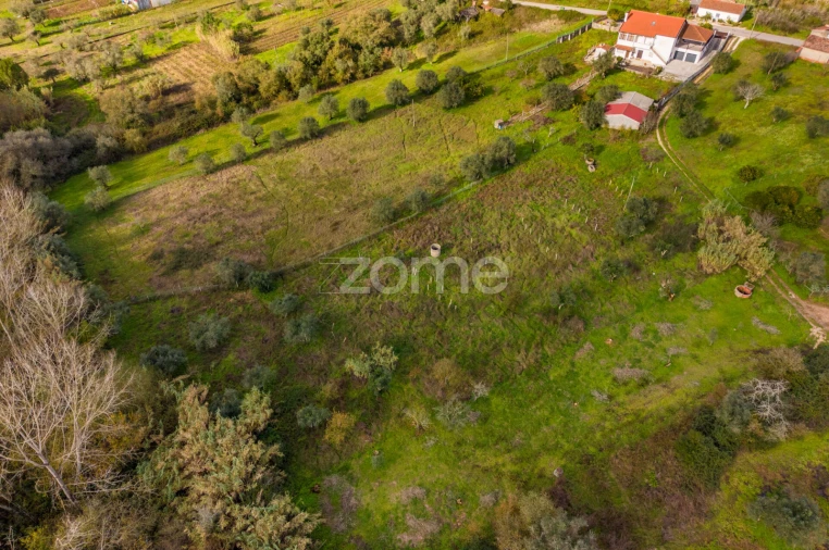 Terreno para Venda em Pelariga Foto 3