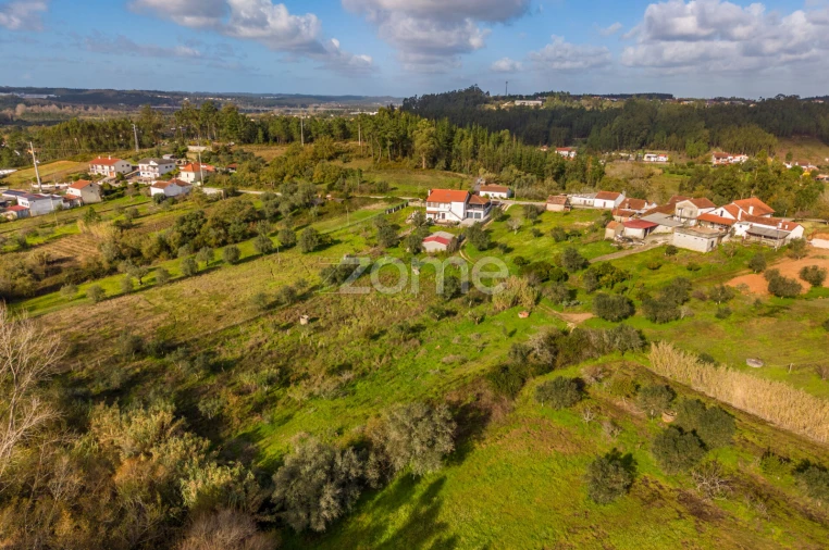 Terreno para Venda em Pelariga Foto 19