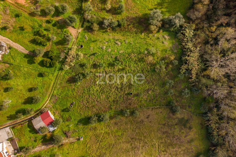 Terreno para Venda em Pelariga Foto 1