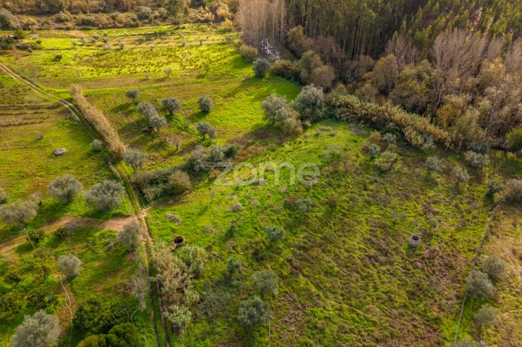 Terreno para Venda em Pelariga Foto 23
