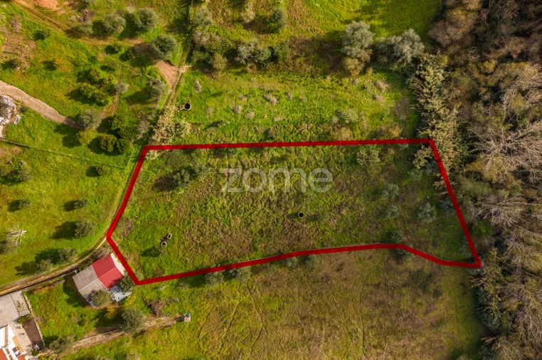 Terreno para Venda em Pelariga Foto 4