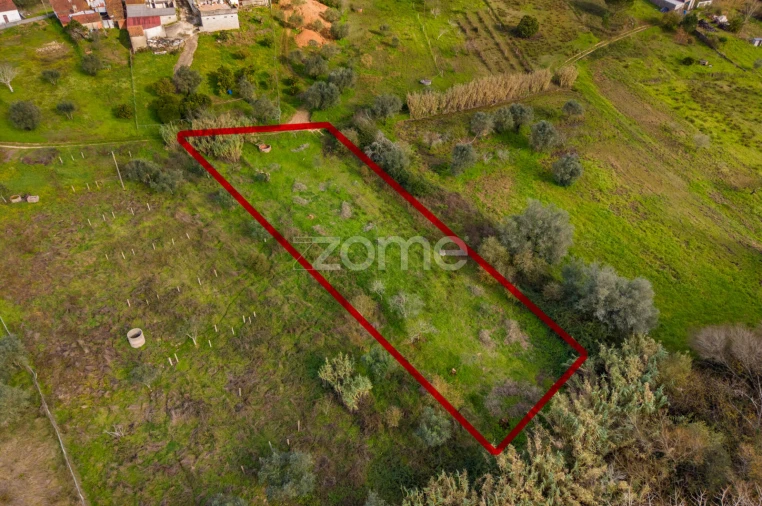 Terreno para Venda em Pelariga Foto 26