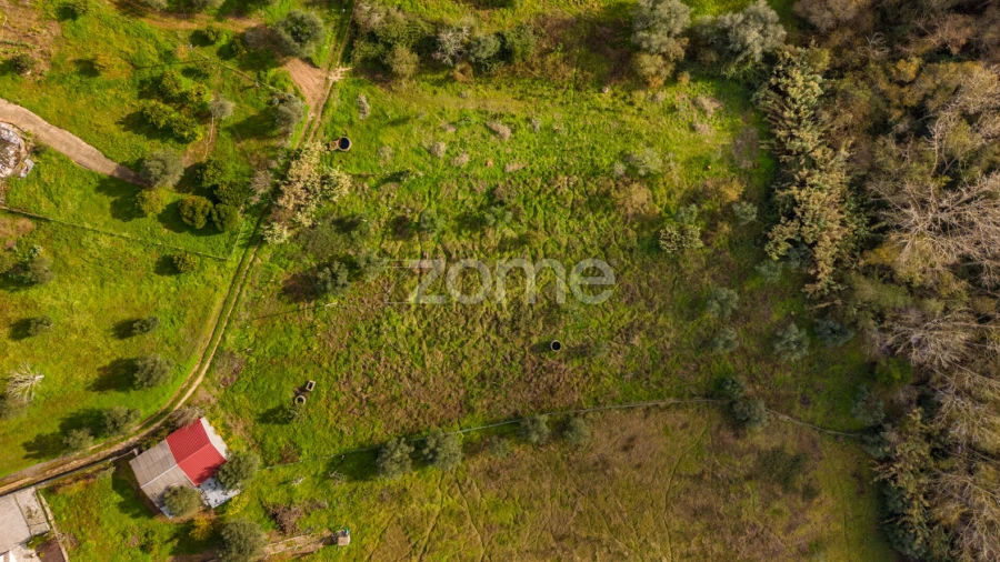Terreno para Venda em Pelariga