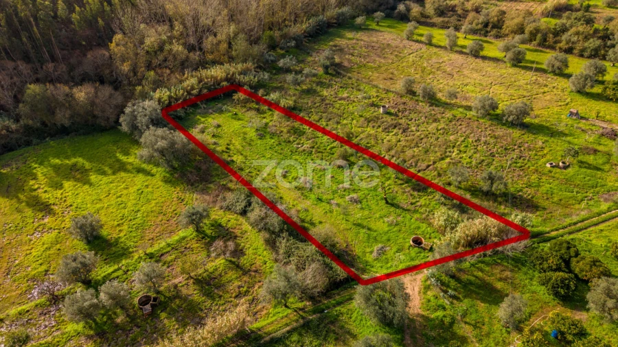 Terreno para Venda em Pelariga