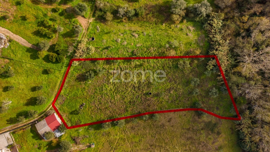 Terreno para Venda em Pelariga