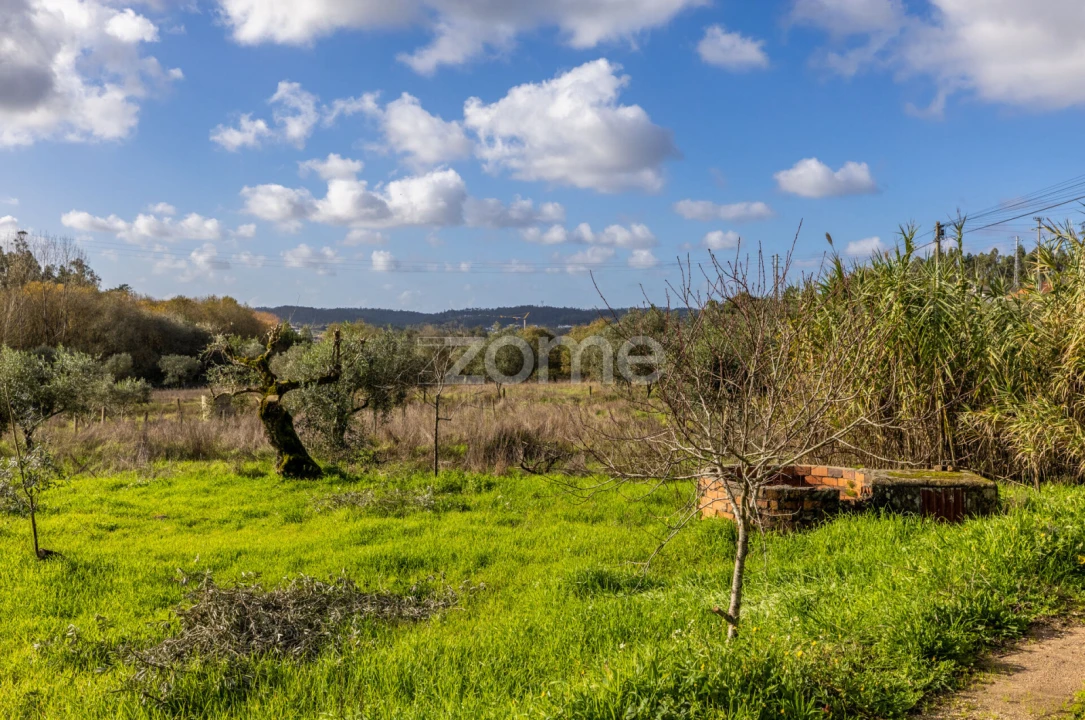 Terreno para Venda em Pelariga Foto 18