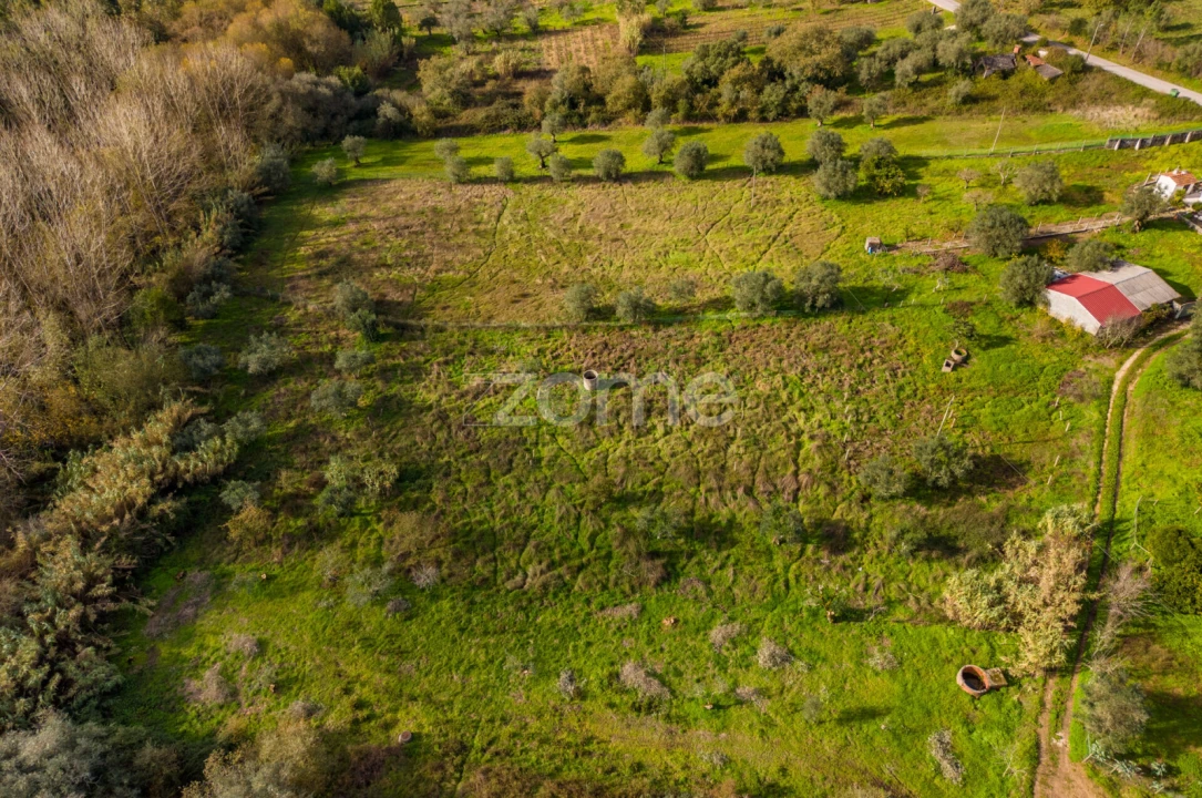Terreno para Venda em Pelariga Foto 11