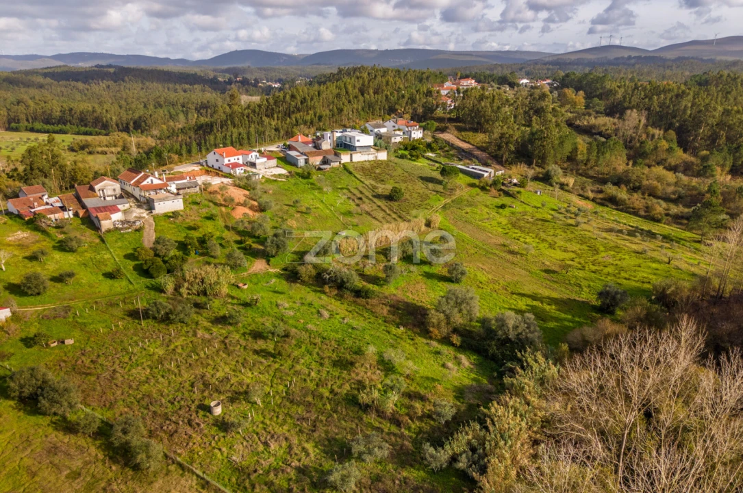 Terreno para Venda em Pelariga Foto 29