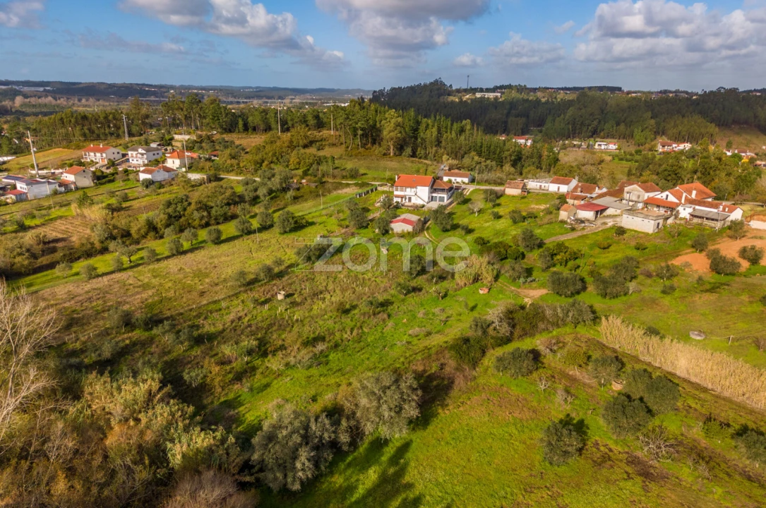 Terreno para Venda em Pelariga Foto 19