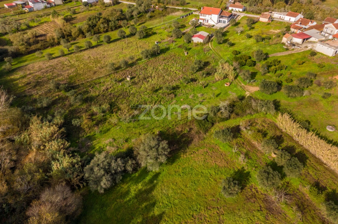 Terreno para Venda em Pelariga Foto 31