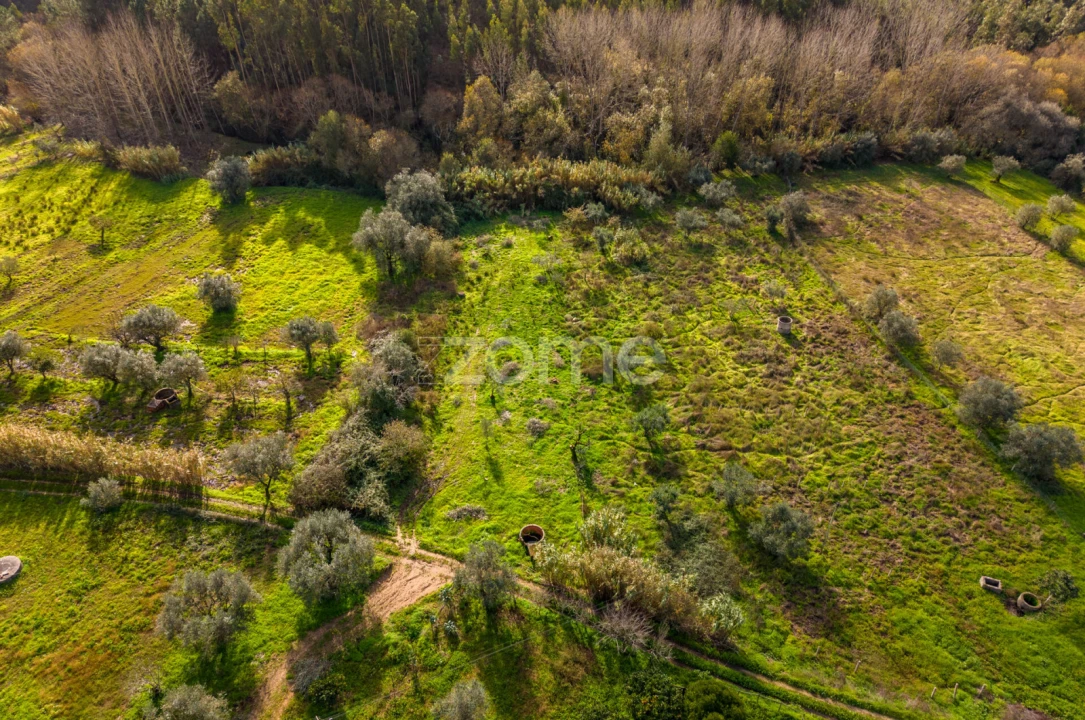 Terreno para Venda em Pelariga Foto 24