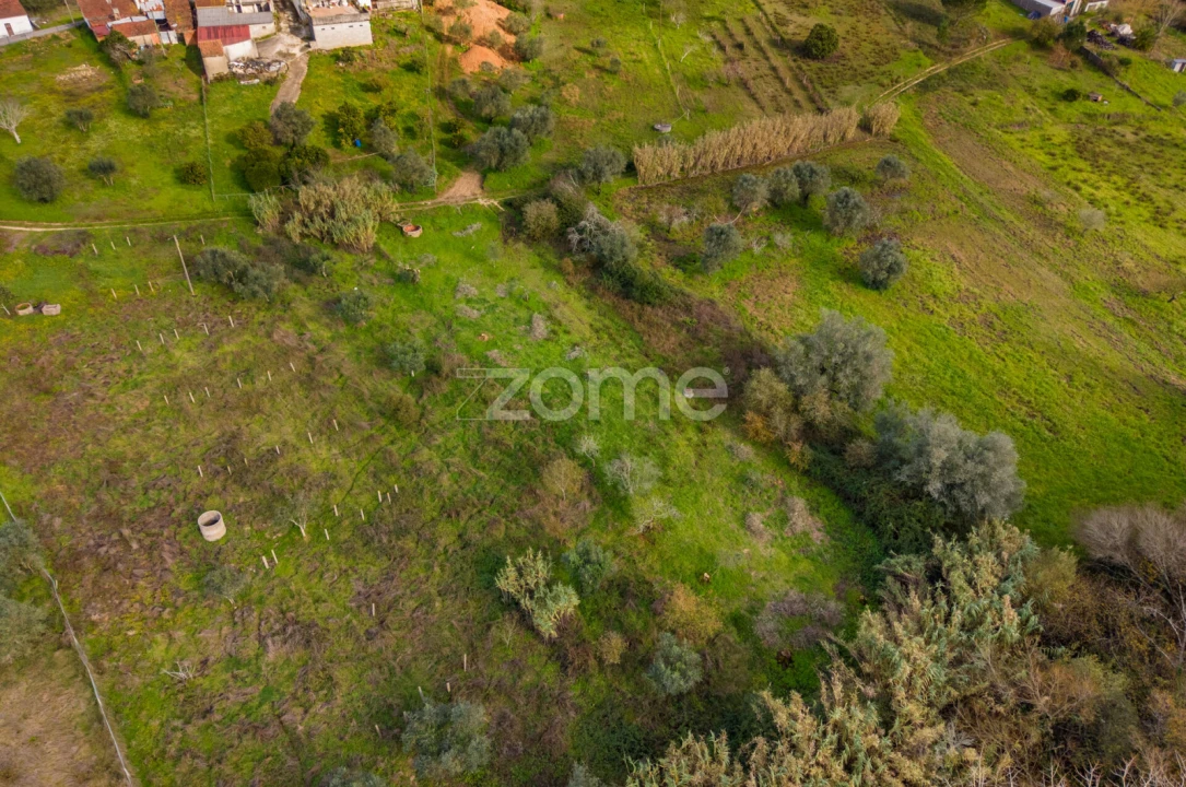 Terreno para Venda em Pelariga Foto 17