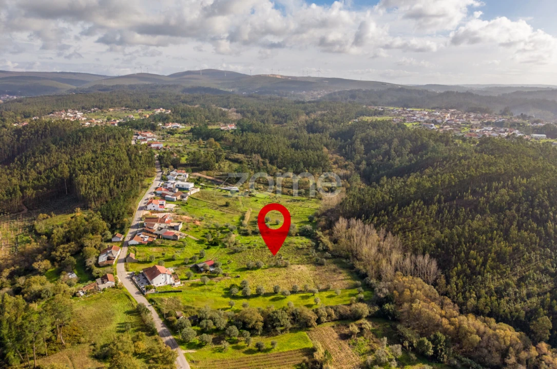 Terreno para Venda em Pelariga Foto 9