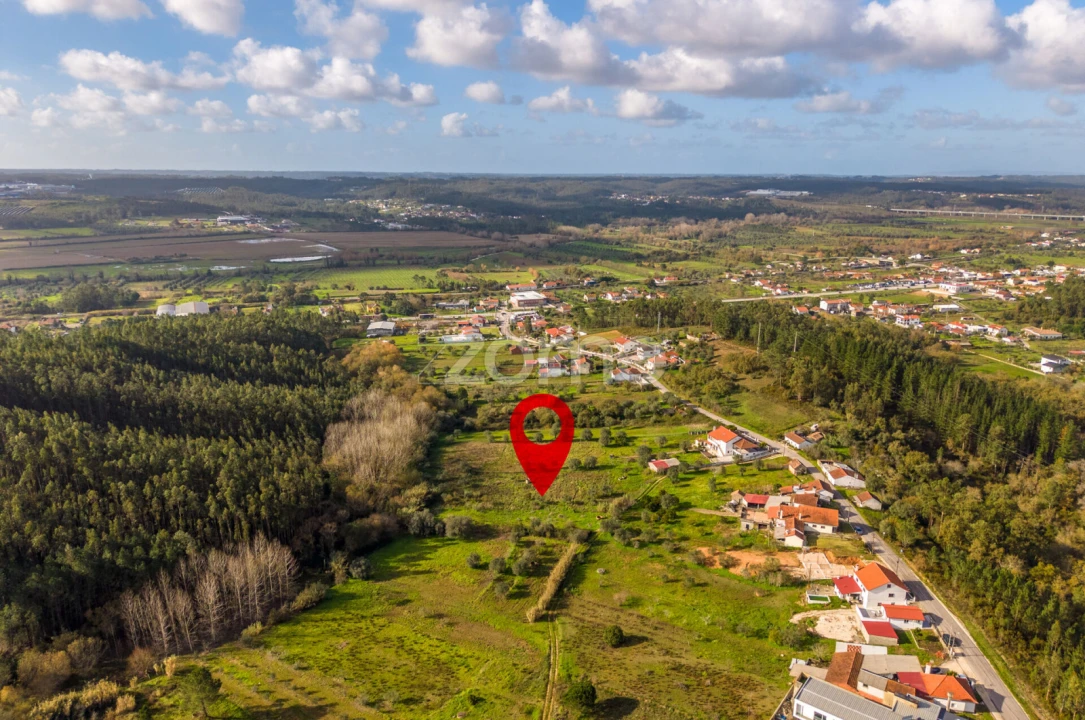Terreno para Venda em Pelariga Foto 30