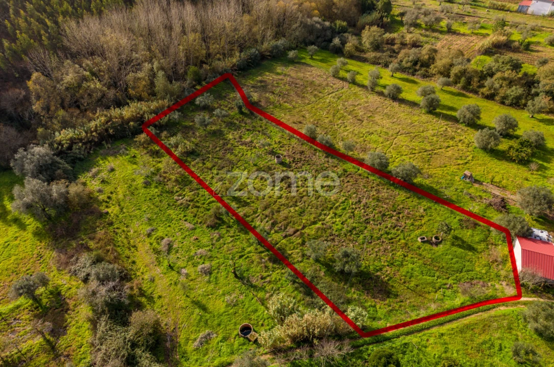 Terreno para Venda em Pelariga Foto 10