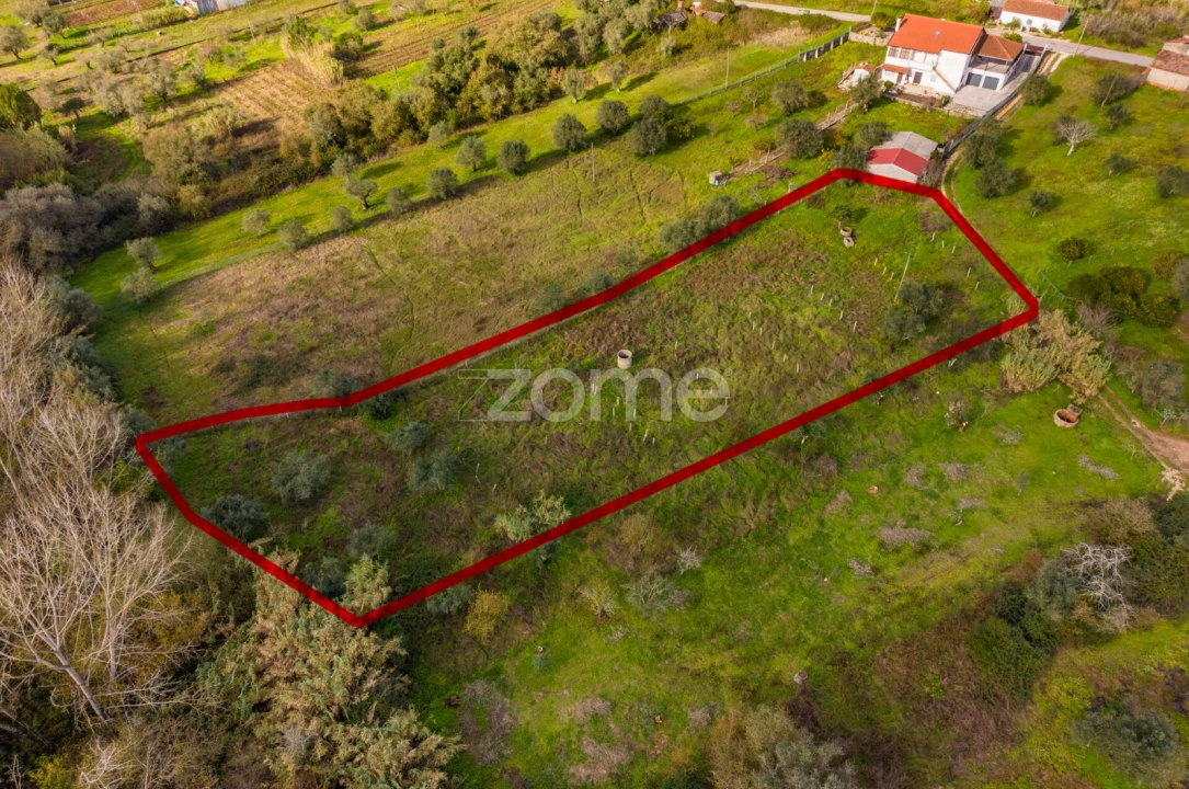 Terreno para Venda em Pelariga Foto 2