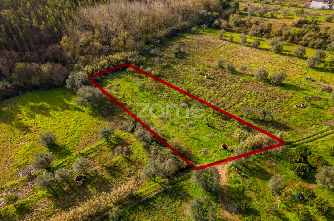 Terreno para Venda em Pelariga Foto 33