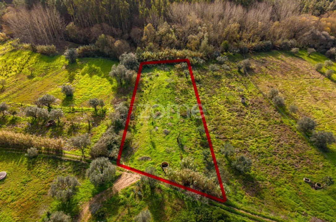 Terreno para Venda em Pelariga Foto 22