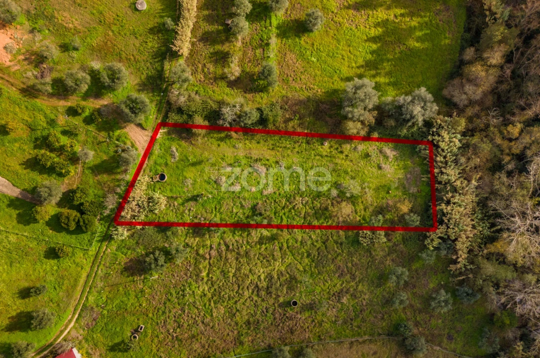 Terreno para Venda em Pelariga Foto 16