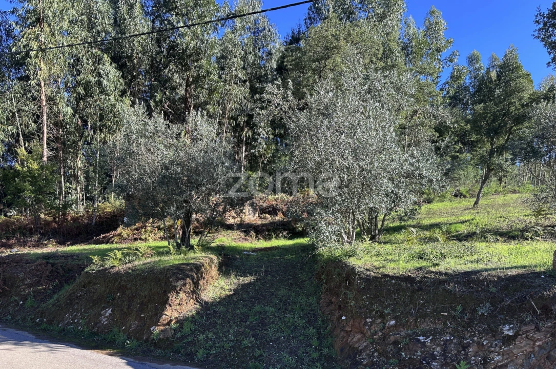 Terreno para Venda em Figueiró dos Vinhos e Bairradas Foto 7